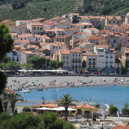Appartement Avec Grande Terrasse Vue Sur Mer Banyuls-sur-Mer Kültér fotó